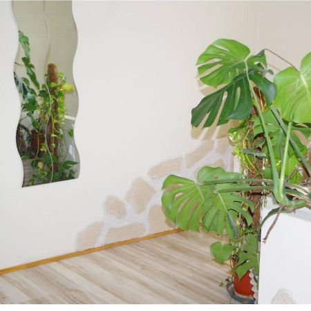 L'Appartement 90M2 Climatise Avignon Exteriör bild