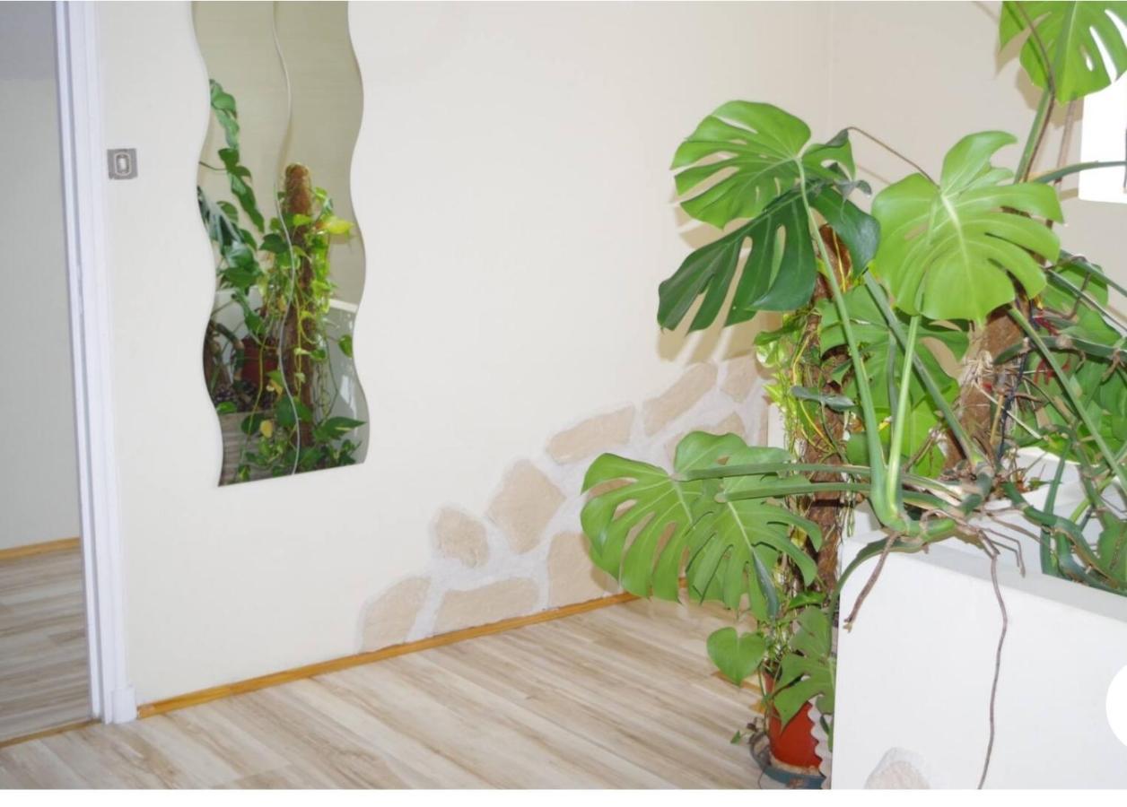 L'Appartement 90M2 Climatise Avignon Exteriör bild