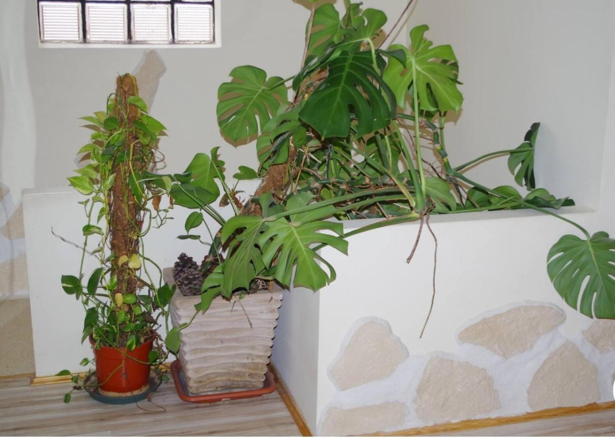 L'Appartement 90M2 Climatise Avignon Exteriör bild